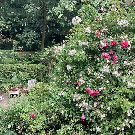 Muenster-land Am Suedhang Der Baumberge Апартаменты Ноттульн